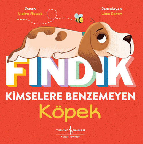 Fındık - Kimselere Benzemeyen Köpek