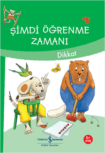 Şimdi Öğrenme Zamanı - Dikkat