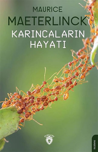 Karıncaların Hayatı