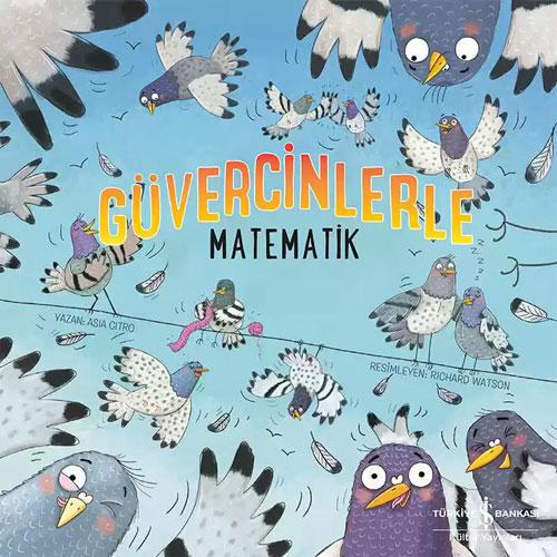 Güvercinlerle Matematik