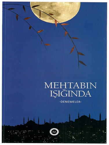 Mehtabın Işığında Denemeler