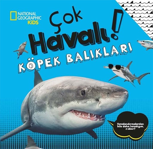 Çok Havalı! Köpek Balıkları