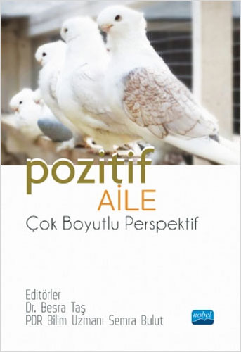 Pozitif Aile - Çok Boyutlu Perspektif