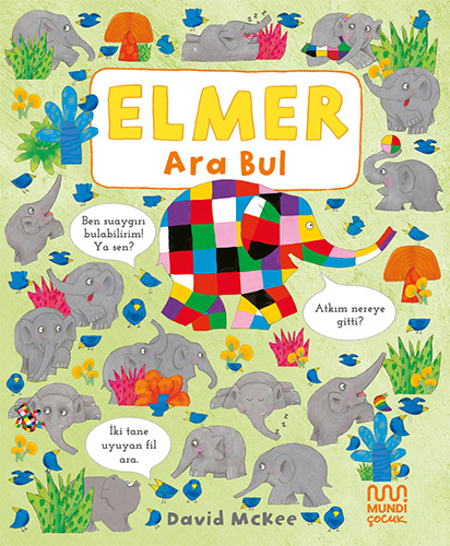 Elmer Ara Bul (Ciltli)