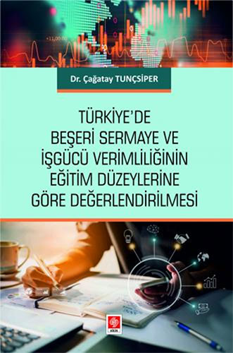 Türkiye'de Beşeri Sermaye ve İşgücü Verimliliğinin Eğitim Düzeylerine Göre Değerlendirilmesi