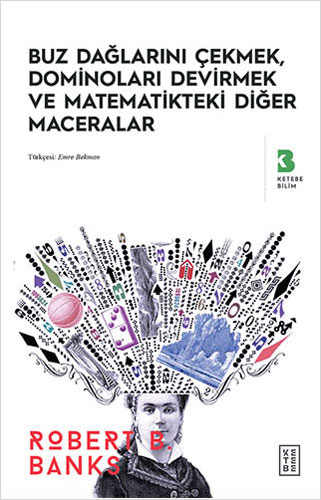 Buz Dağlarını Çekmek Düşen Dominolar ve Diğer Uygulamalı Matematik Maceraları