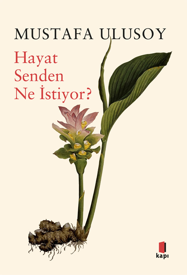 Hayat Senden Ne İstiyor?