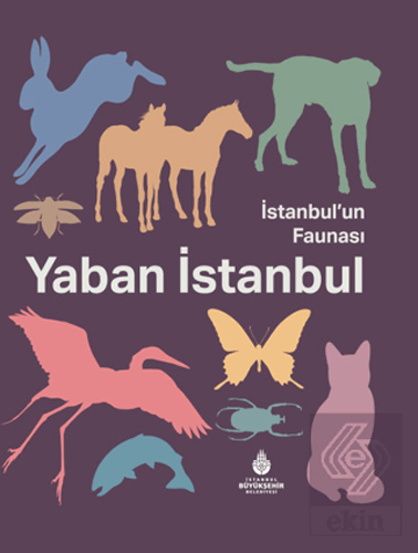 İstanbul'un Faunası Yaban İstanbul (Ciltli)
