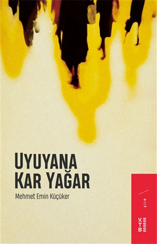 Uyuyana Kar Yağar