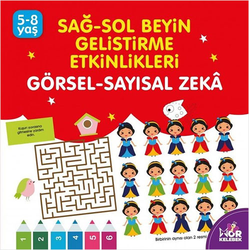 Sağ-Sol Beyin Geliştirme Etkinlikleri: Görsel - Sayısal Zeka