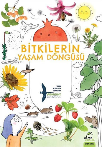 Bitkilerin Yaşam Döngüsü