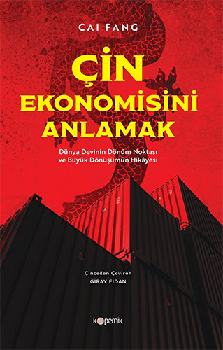 Çin Ekonomisini Anlamak