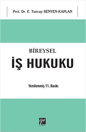 Bireysel İş Hukuku