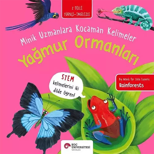 Yağmur Ormanları