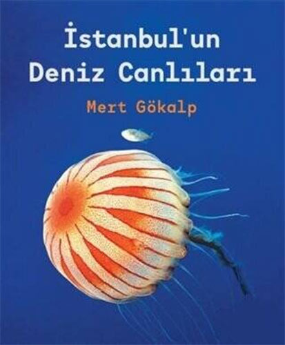 İstanbul`un Deniz Canlıları (Ciltli)