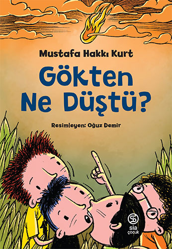 Gökten Ne Düştü?