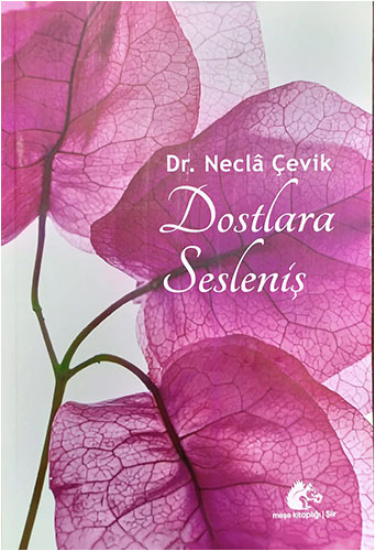 Dostlara Sesleniş