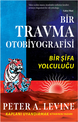 Bir Travma Otobiyografisi