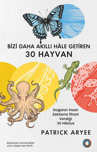 Bizi Daha Akıllı Hâle Getiren 30 Hayvan