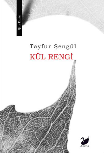 Kül Rengi