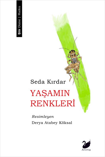 Yaşamın Renkleri 