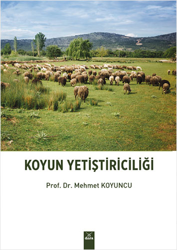 Koyun Yetiştiriciliği