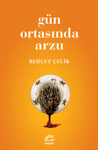 Gün Ortasında Arzu