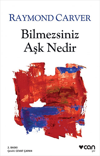 Bilmezsiniz Aşk Nedir