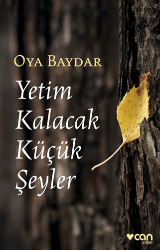 Yetim Kalacak Küçük Şeyler: An’lar Kitabı