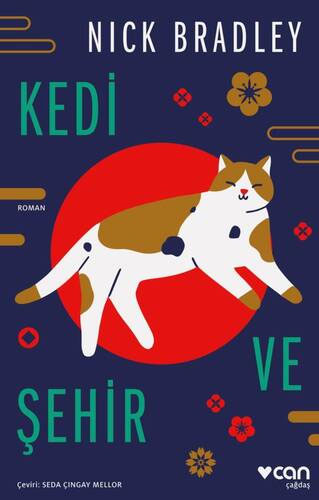 Kedi ve Şehir