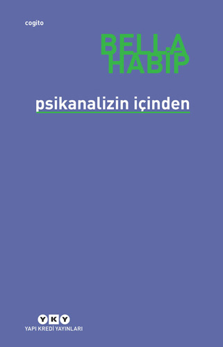 Psikanalizin İçinden