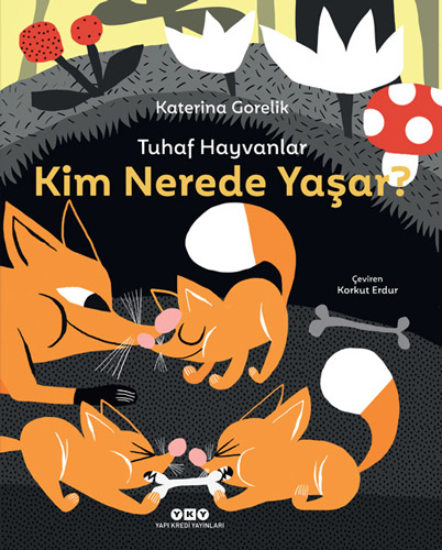 Tuhaf Hayvanlar - Kim Nerede Yaşar? (Ciltli)