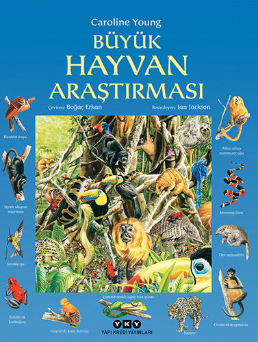 Büyük Hayvan Araştırması