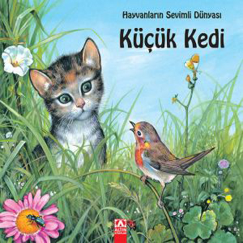 Küçük Kedi