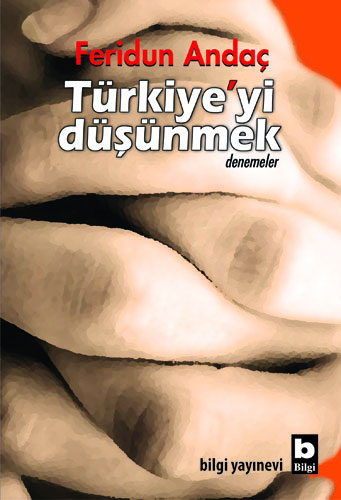 Türkiye'yi Düşünmek