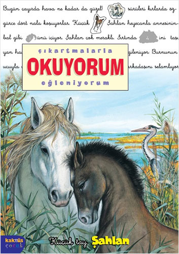 Çıkartmalarla Okuyorum Eğleniyorum- Küçük Tay Şahlan