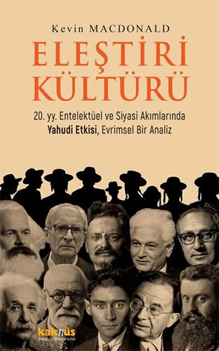 Eleştiri Kültürü