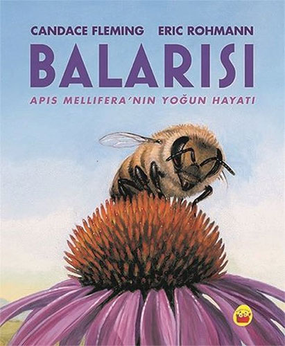 Balarısı