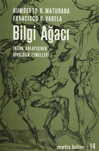 Bilgi Ağacı