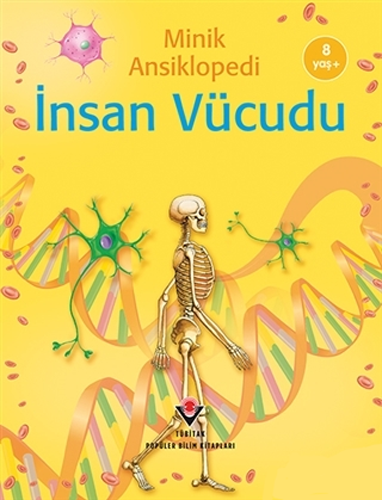 Minik Ansiklopedi - İnsan Vücudu