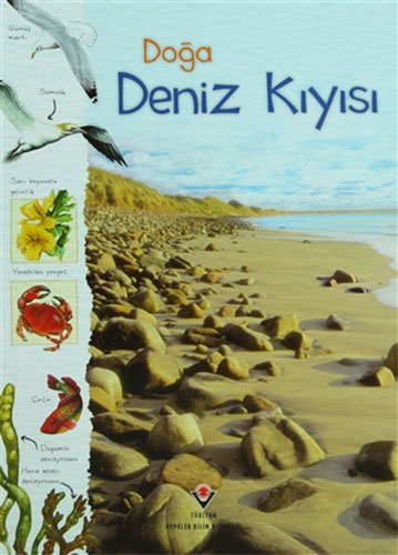 Doğa: Deniz Kıyısı