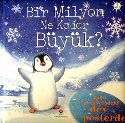 Bir Milyon Ne Kadar Büyük? (Sünger Kapaklı) (Ciltli)