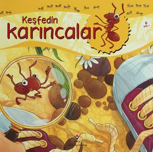 Keşfedin - Karıncalar