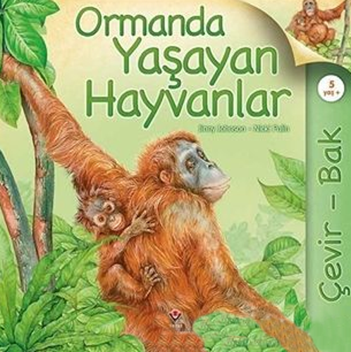 Çevir Bak - Ormanda Yaşayan Hayvanlar 