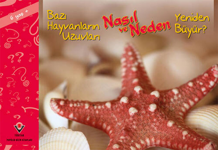 Bazı Hayvanların Uzuvları Nasıl ve Neden Yeniden Büyür?