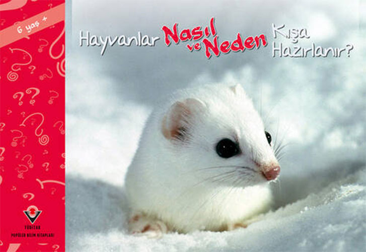 Hayvanlar Nasıl ve Neden Kışa Hazırlanır