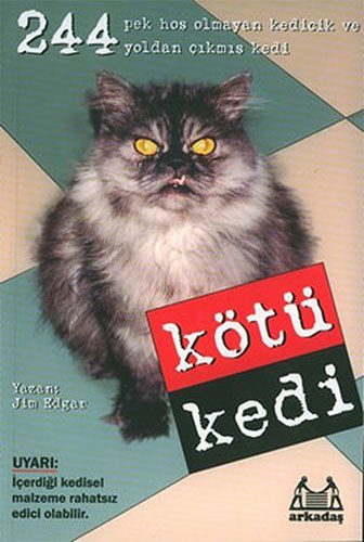 Kötü Kedi