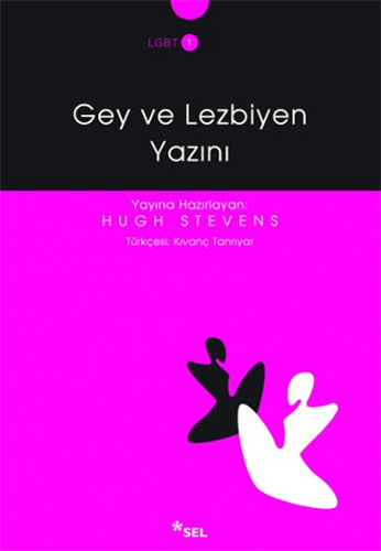 Gey ve Lezbiyen Yazını