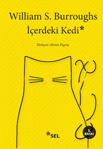 İçerdeki Kedi