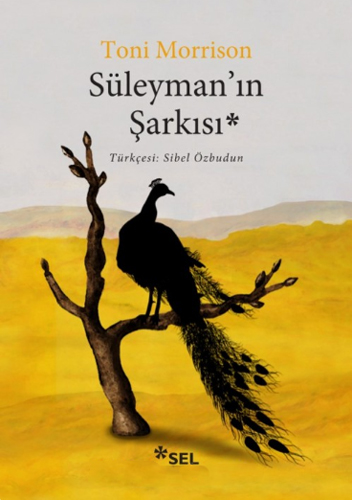 Süleyman’ın Şarkısı